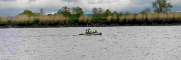 Campagne TEA en travers de la Loire à hauteur de Couëron - Calligée