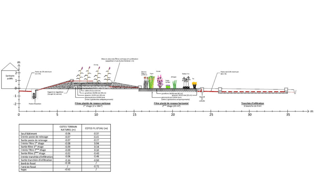 eaux-superficielles-usees-filtre-plantes-profil©calligee