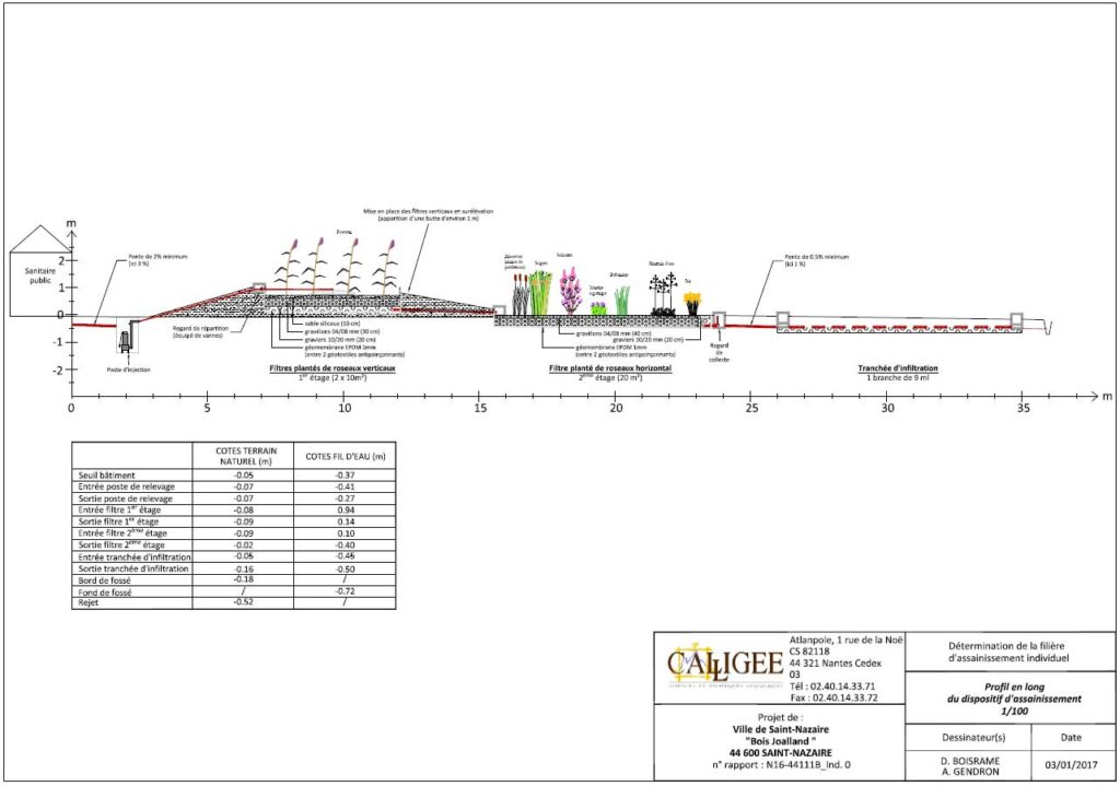 eaux-superficielles-usees-filtre-plantes-profil©calligee
