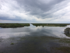 2019_04_05_Journees_Calligee_Equipe_Lac_Grand_Lieu_PlanEau