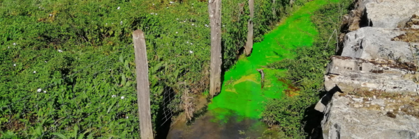 2020 Hydrogéologie traçage Calligée Aveyron