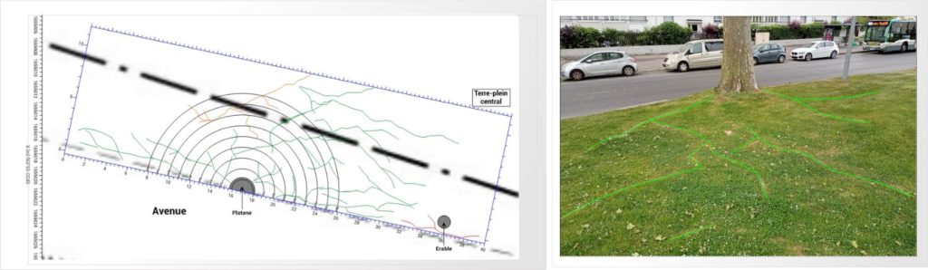 2022_06_28_Calligee_Geophysique_Systeme_racinaire_detection